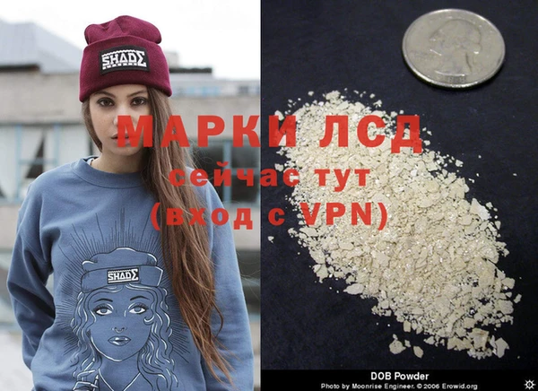 мяу мяу мука Аркадак