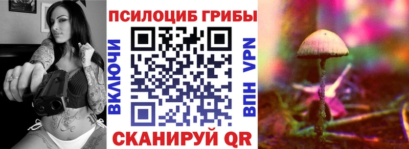 Галлюциногенные грибы ЛСД  цена наркотик  ссылка на мегу онион  Фокино 